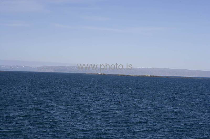 kps06082288