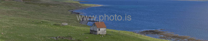 kps06082808p