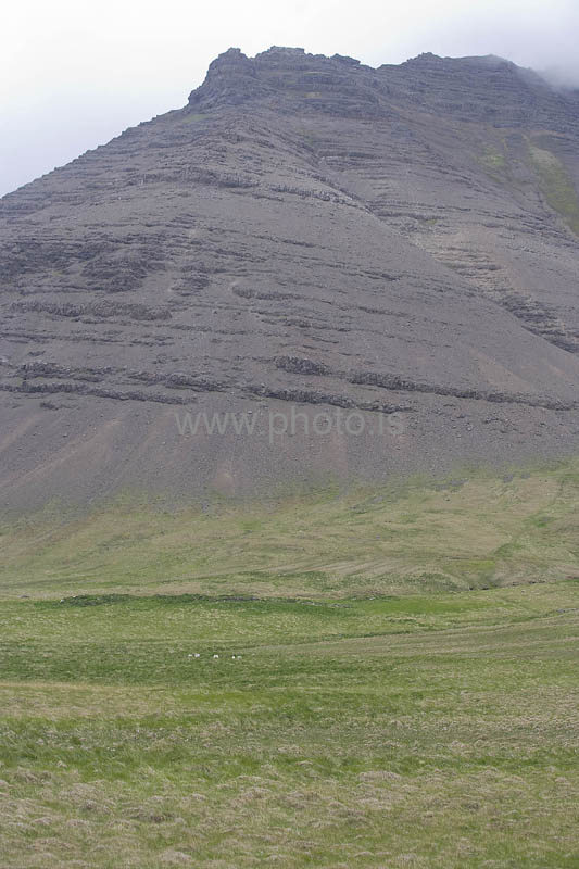 kps06082830