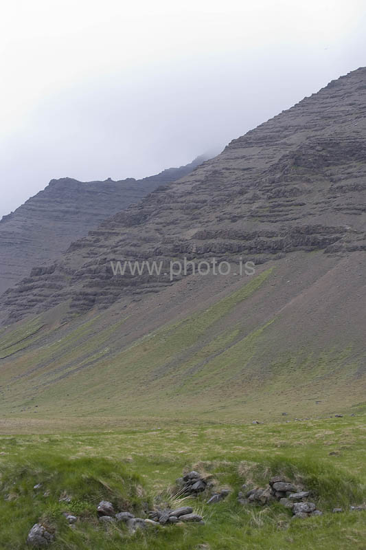 kps06082835