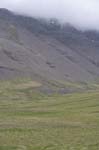 kps06082831