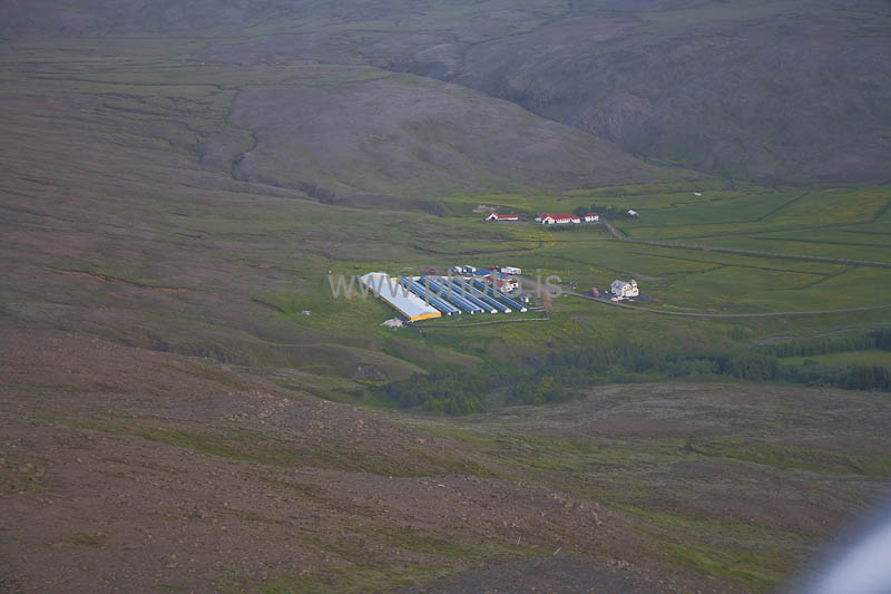 kps06086331