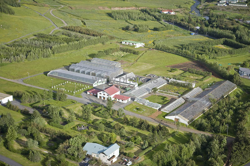 kps06088075