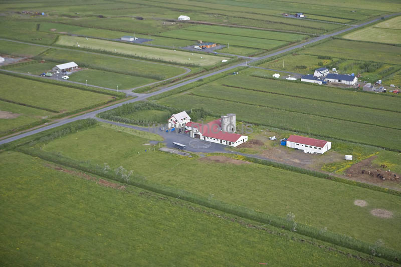 kps06088084