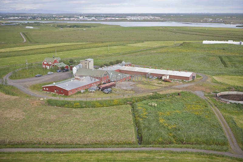 kps06088091