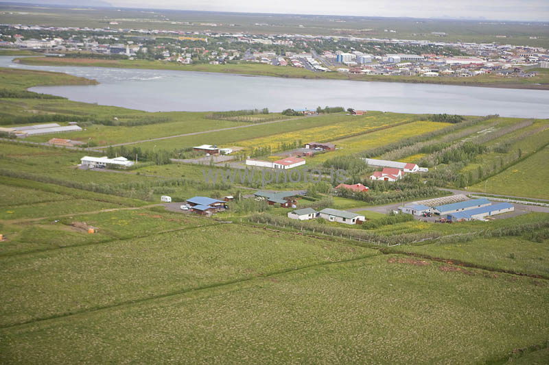 kps06088094