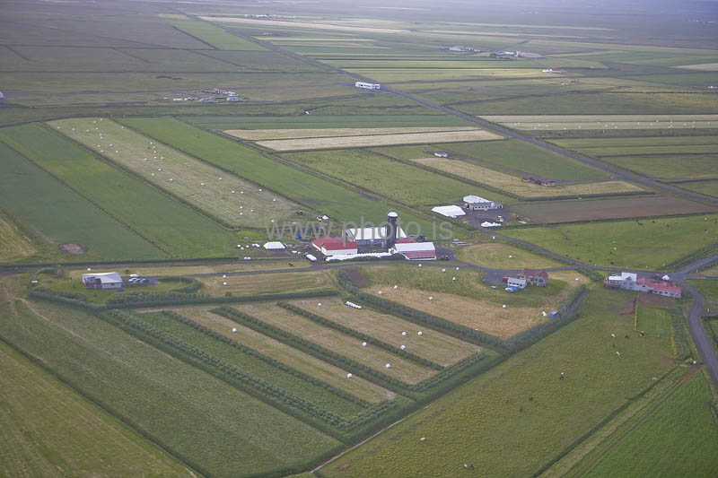 kps06088249