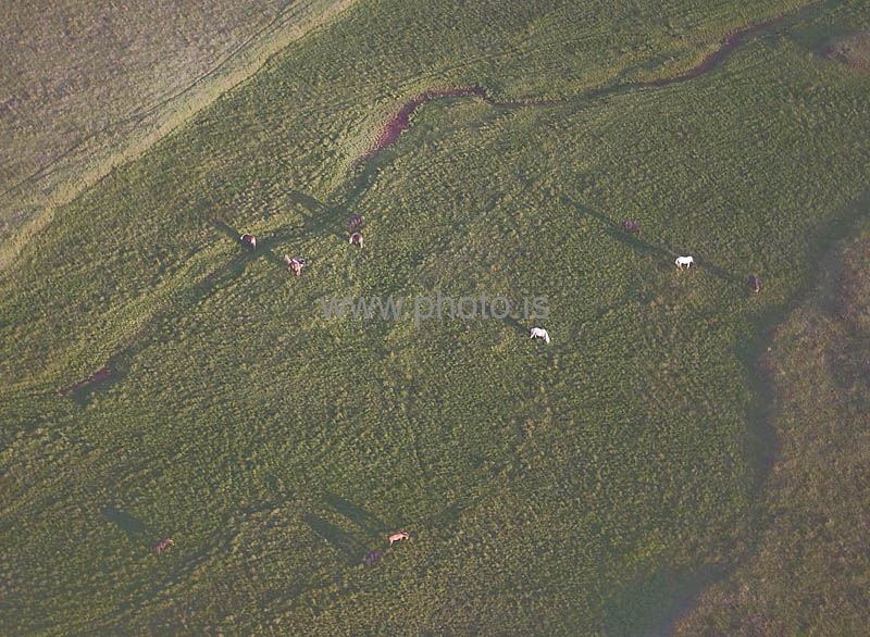 kps06088275