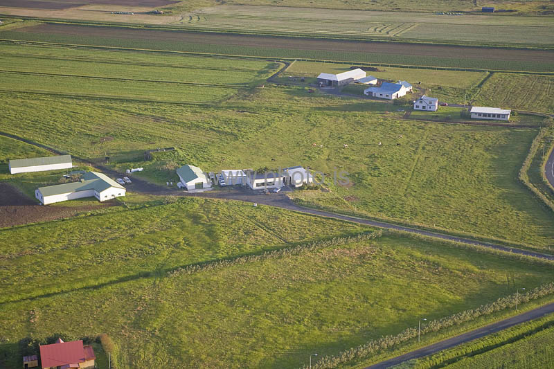 kps06088288