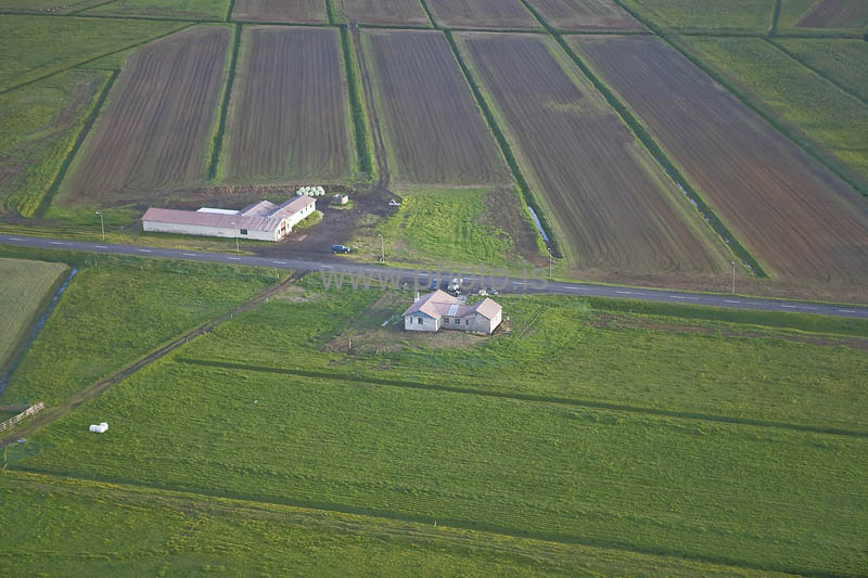 kps06088295