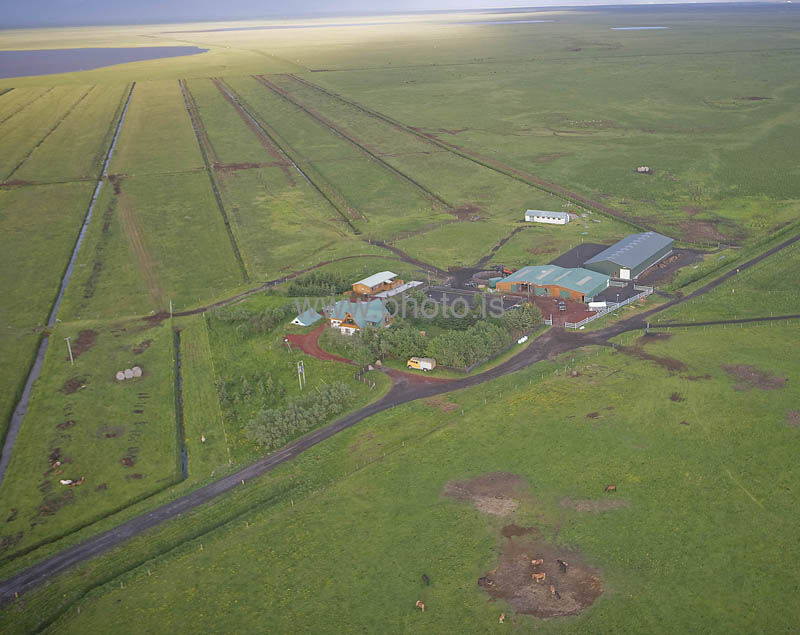 kps06088314