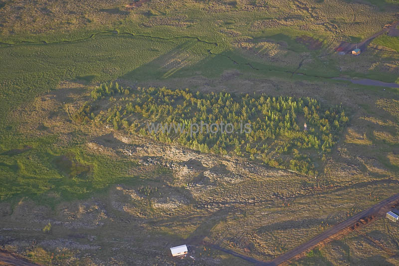 kps06088382