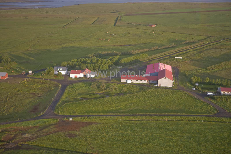 kps06088422
