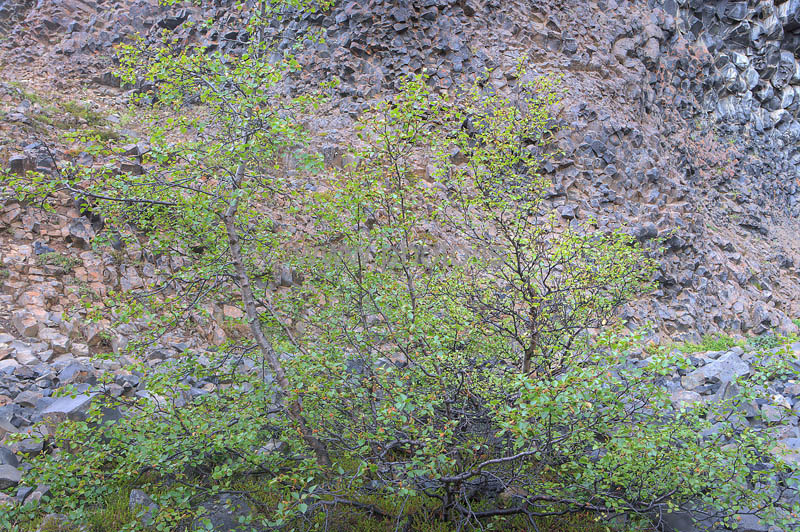 kps07086276hdr
