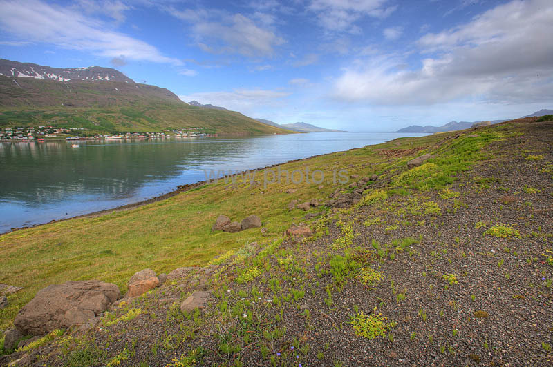 kps07086778hdr