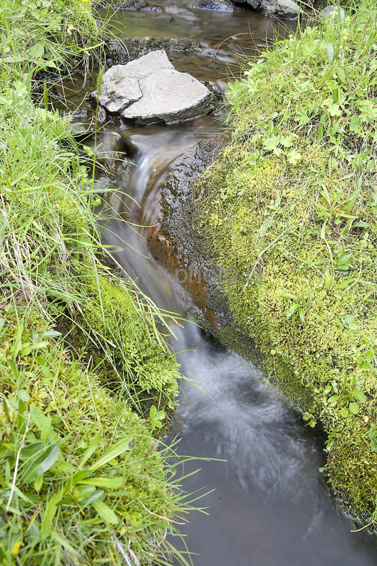 kps07087337