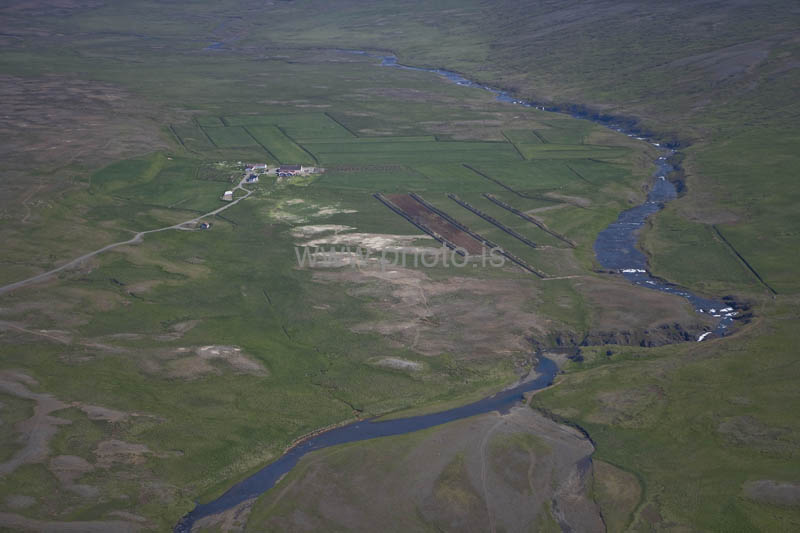 kps07083071