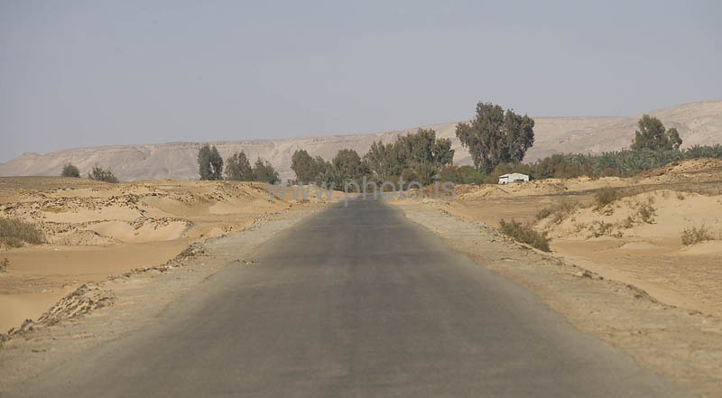 kps02091391