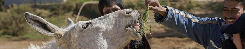 kps02091406p