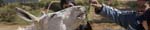 kps02091406p