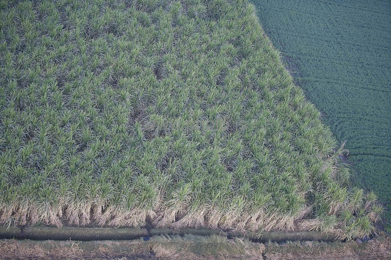 kps02092130