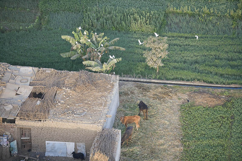 kps02092173