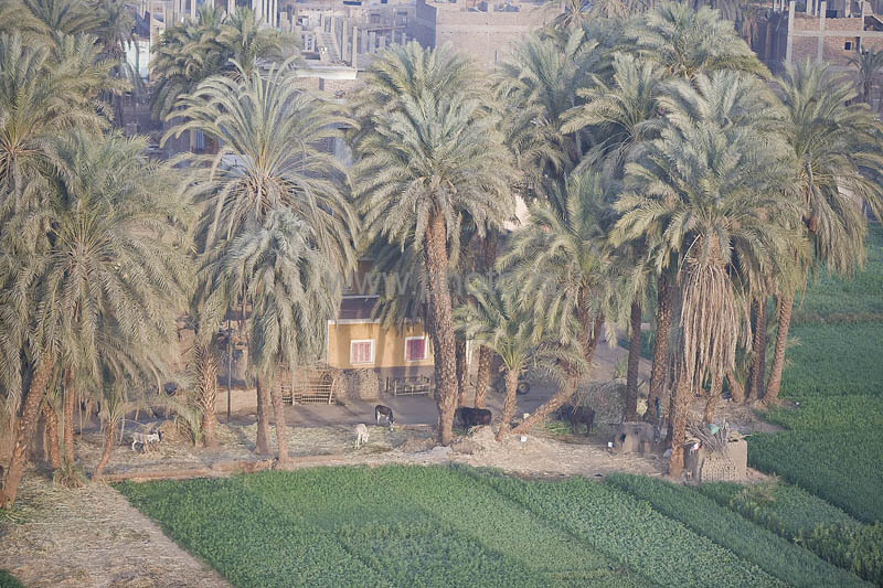 kps02092179