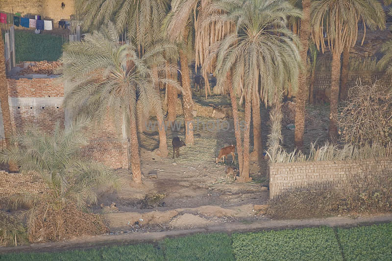 kps02092181