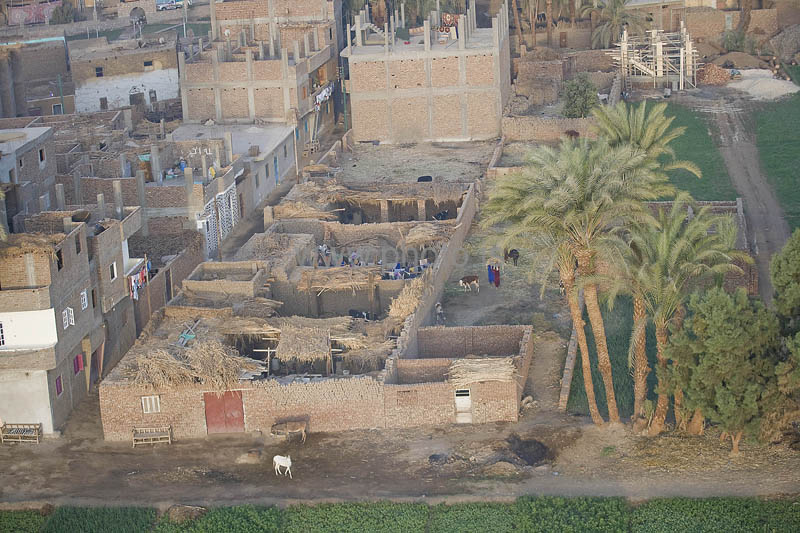 kps02092184