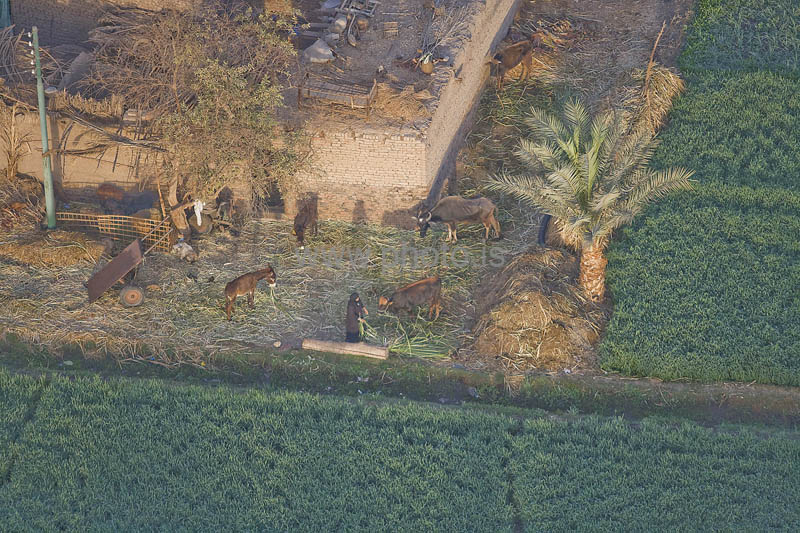 kps02092218