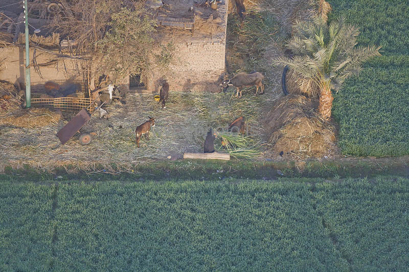kps02092219