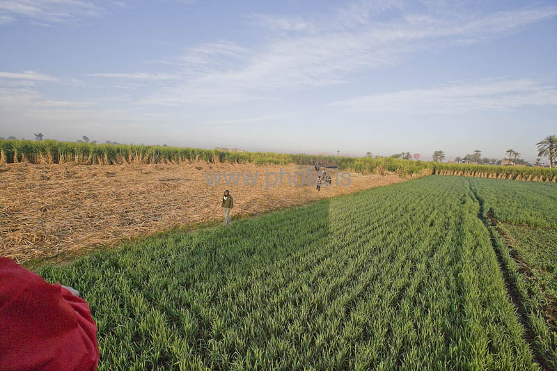kps02092236