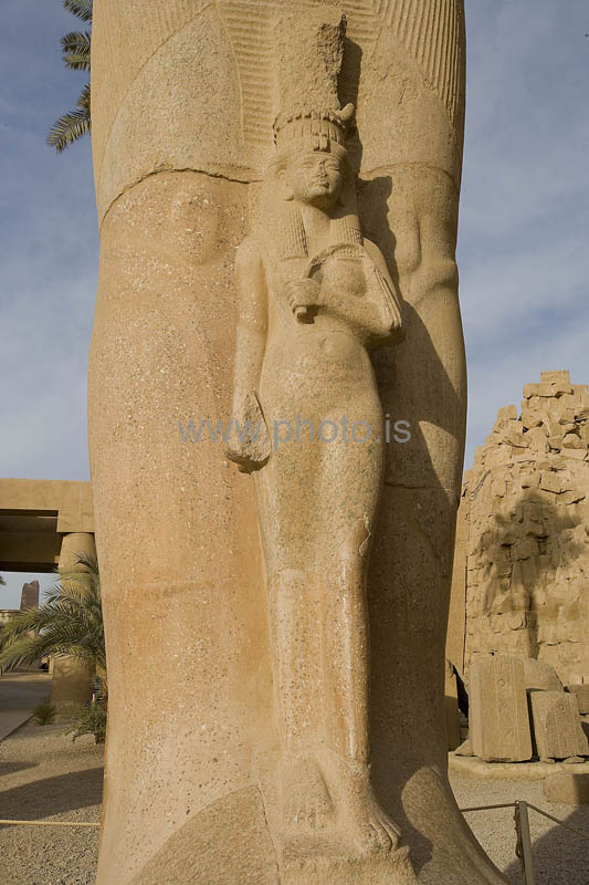 kps02092478