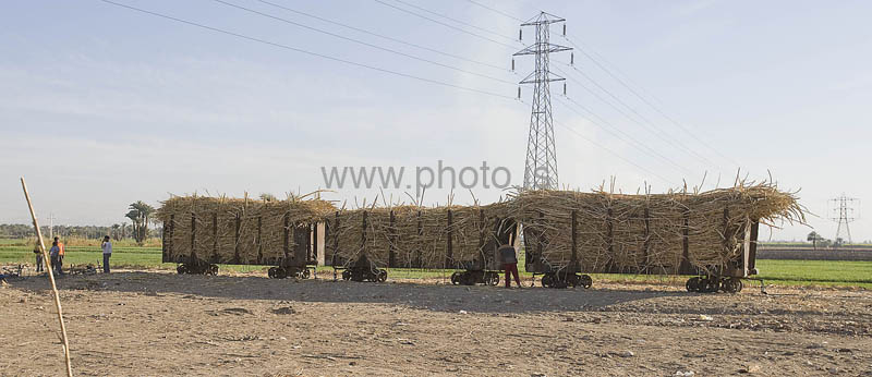 kps02093028