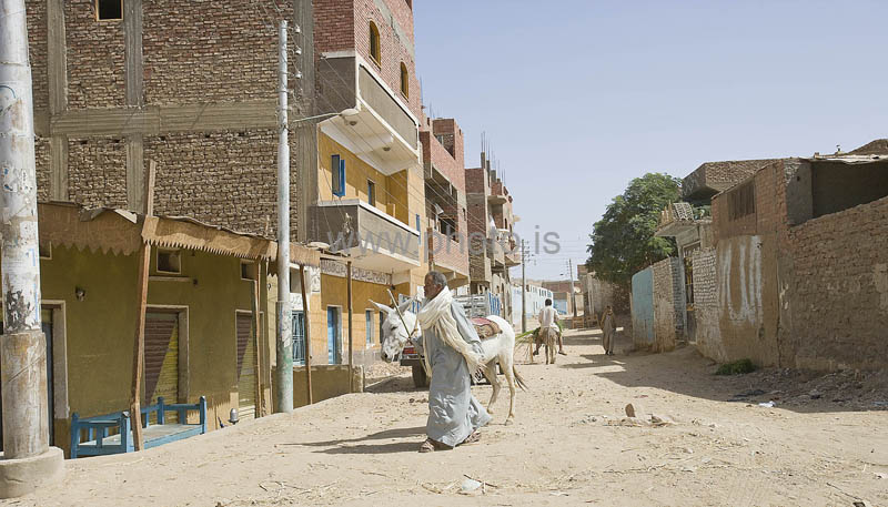 kps02093066