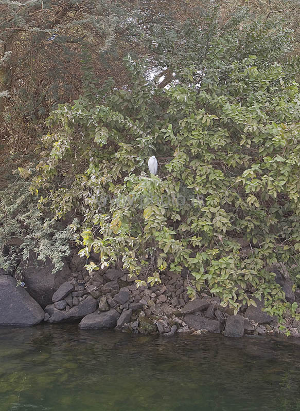 kps02093449
