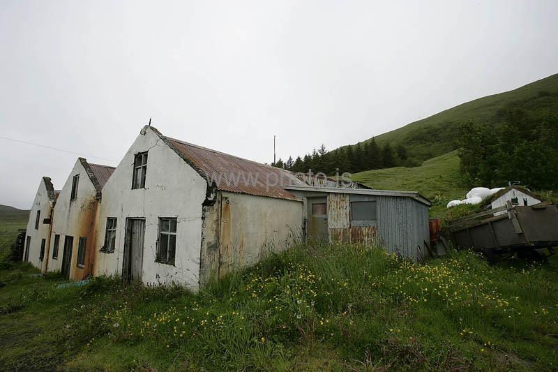 kps06092376