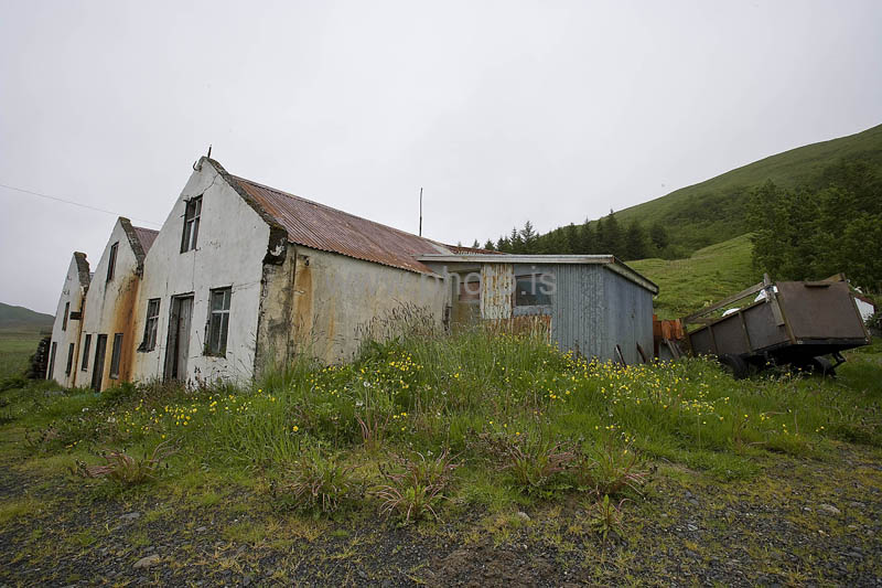 kps06092378