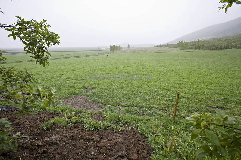 kps06092413
