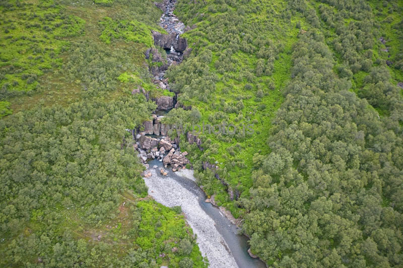 kps06098753