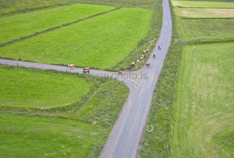 kps06098844