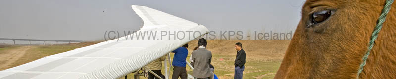 kps011000093p
