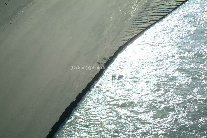 kps10040411