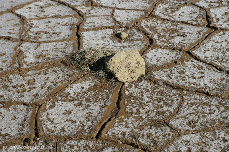 kps04050222
