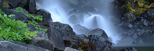 Svartifoss Skaftafell