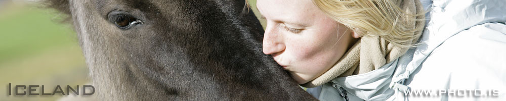 People love the Icelandic Horse - Photographs don’t lie, people do!