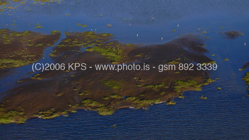 kps07061960