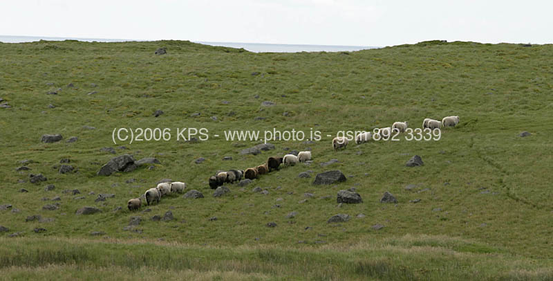 kps08060481