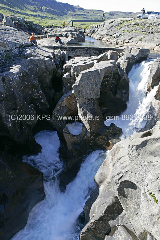kps08060696