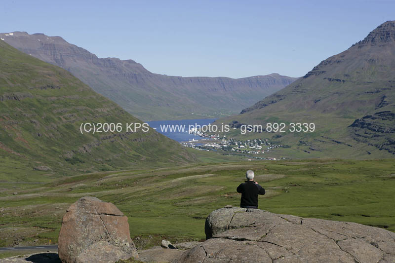 kps08060699